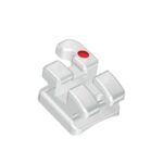 IMD Ceramic Brackets Amora